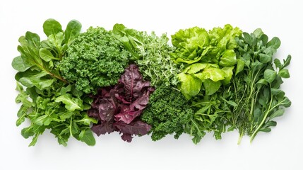 A vibrant green composition features a medley of salad greens (romaine, kale, watercress), arranged precisely on a white canvas.