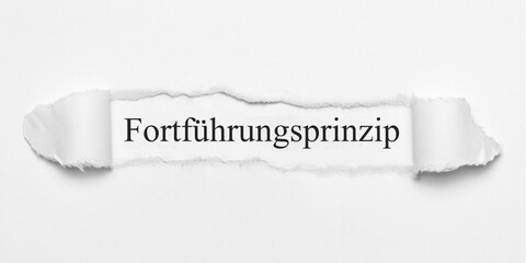 Wall Mural - Fortführungsprinzip	
