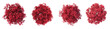© Chadys - Top view of Kyoto Maple Tree isolated on white or transparent background cutout png