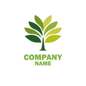 Elegant abstract tree logo featuring symmetrical leaves set against a smooth blue to pink gradient background, ideal for branding, environmental themes
