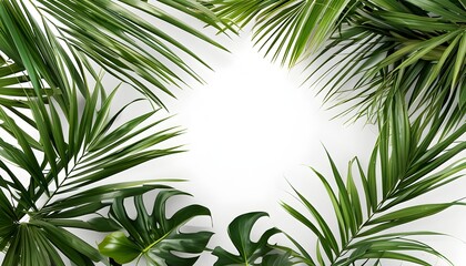 Tropical Palm Leaves Framing a Bright White Background for Summer Travel and Vacation Inspired Design