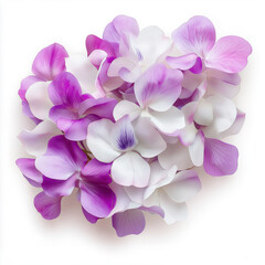 Sticker - Wisteria Flower Isolated