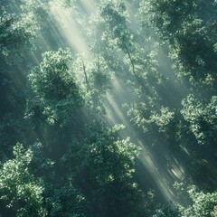 Sticker - Sunlight beams through a dense forest canopy, casting ethereal shadows on the leaves.