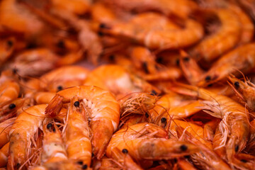 Vibrant whiteleg shrimp basking in a sea of orange, freshly harvested in coastal waters during a sunny morning