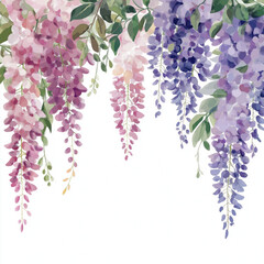 Poster - Wisteria Flower Isolated