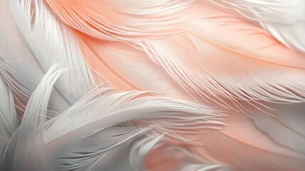 Canvas Print - Soft White and Peach Bird Feathers Texture Background