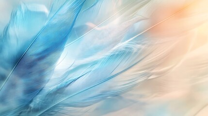 Poster - Abstract Blue and White Feather Texture Background