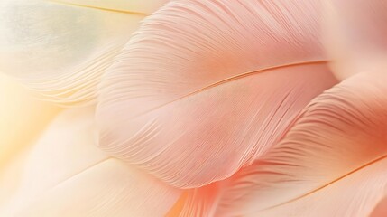 Poster - Soft Pastel Peach Bird Feather Texture Background