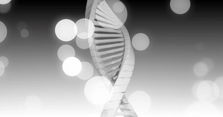 Aufkleber - Animation of dna strand and spots of light on dark background