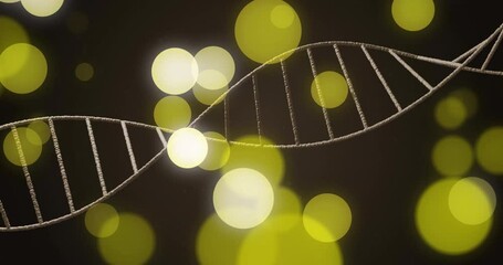 Aufkleber - Animation of dna strand and spots of light on dark background