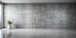 © LA Stock Vision - Minimalist Concrete Interior Design with Plant in Pot, Concrete Wall, Concrete Floor, Modern Interior, Architectural Design, Interior Design, Concrete Wall Design