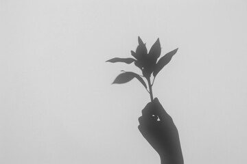 Sticker - PNG  Hand holding plant silhouette