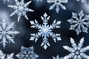 Wall Mural - Stunning Snowflake Designs and Close-Up Photography of Detailed Ice Crystals in a Winter Wonderland