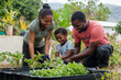 © Ирина Щукина - A family of three, a man, a woman and a child, are working together in a garden. The man is kneeling down to help the child, while the woman is standing nearby. Scene is happy and positive