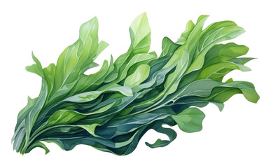 Sticker - PNG Vegetable plant food leaf.