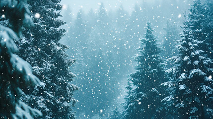 Canvas Print - Snow covered forest