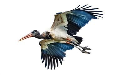 Marabou Stork Bird Flying on White Background, Photo Realistic, Wallpaper, Cover and Screen for Smartphone, PC, Laptop, 9:16 and 16:9 Format