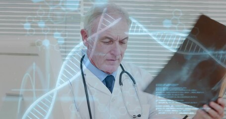 Canvas Print - Animation of dna strands with data processing over caucasian male doctor reading x-ray scan