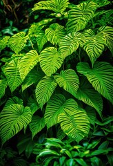 vibrant foliage displaying unique plant varieties featuring exquisite designs lush greenery captivating natural setting, botanical, plants, leaves