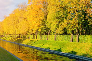 Wall Mural - Autumn landscape - golden autumn trees along the city channel in autumn sunny weather