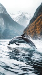 Dolphin leaping in fjord with snowy mountains in background, serene wildlife and nature concept