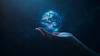 © Liliya - Close up of human hand holding Earth planet.