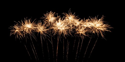 Colorful fireworks display lighting up the night sky during a festive celebration