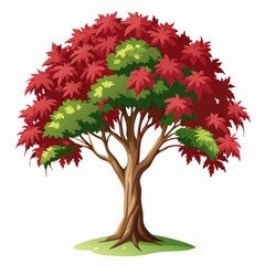 Canvas Print - acer-rubrum-tree