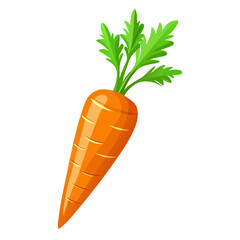 carrot isolated on white