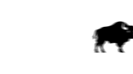 Poster - Animation set, buffalo symbol. Animations: transparency, zooms, transition top to down, transition left to right, slide up to down, slide left to right