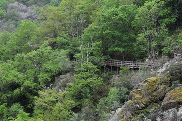 Pasarelas del río Mao en San Lourenzo de Barxacova, Galicia