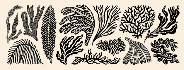 coral reef or seaweeds vector underwater plant icons. naive style leaves, algae or fronds. hand draw