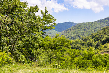 view of green overgrown mountains near Goshavank