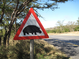 Warning traffic sign for hippos on road