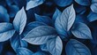 © Rstm - A close-up of blue leaves with intricate veins and textures.