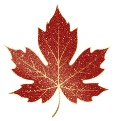 Poster - PNG Maple leaf icon plant shape tree.