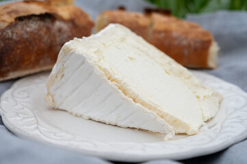 Wall Mural - Delice de Bourgogne French cow's milk cheese from Burgundy region of France close up