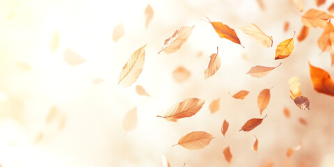 Wall Mural - leaves falling in the air leaf outdoors confetti.