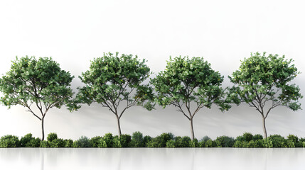 Cut-out tree line. Row of green trees and bushes in summer isolated on white background.