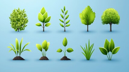 Poster - A set of 12 different types of trees and plants