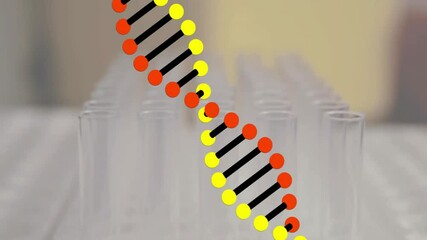 Wall Mural - Animation of dna strand over test tubes