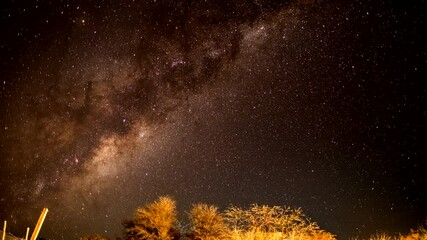 Wall Mural - timelapse made of the milky way moving above some lighted trees at night in chili south america with