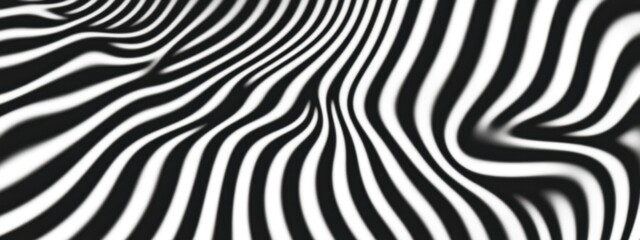 Canvas Print - Abstract black and white ripple pattern, undulating lines, hypnotic spiral, organic fluid texture, wavy distorted surface, optical illusion, monochrome fractal design