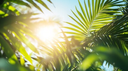 Poster - bright sun rays filter through vibrant palm tree leaves, creating a captivating dappled light effect