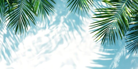 Poster - palm tree leaves Top view of tropical leaf shadow on water surface. Shadow of palm leaves on white background. Beautiful abstract background concept banner for summer vacation at the beach. 