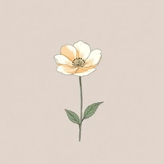 one flower background