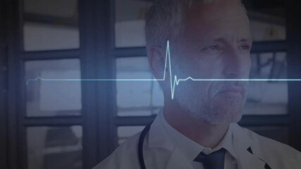 Poster - Animation of cardiograph over caucasian male doctor with stethoscope
