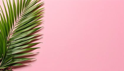 Tropical palm leaves frame on a vibrant pink background, perfect for summer vacation themed banners and invitations.