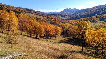 Poster - Autumn Forest Landscape with Golden Trees and Mountain Peaks