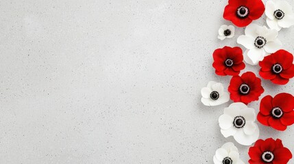 Sticker - White and Red Anemone Flowers on a Concrete Background